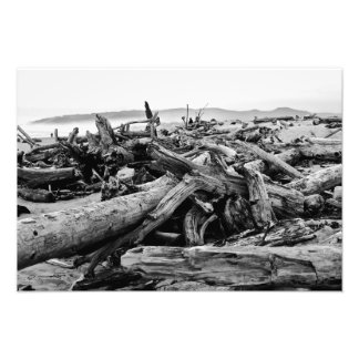 Impression Photo Bois d'eau de la côte de l'Oregon noir et blanc