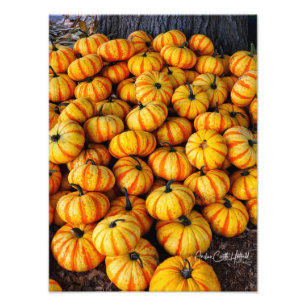 Impression Photo Bonbon en forme de corne