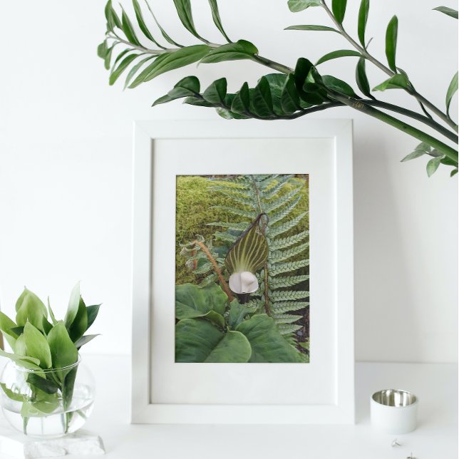 Impression Photo Botanique botanique (In Situ Framed)