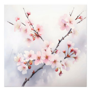 Impression Photo Branche de floraison Sakura