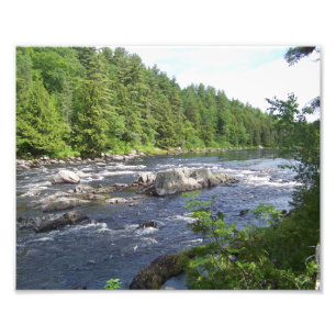 Impression Photo Branche est Penobscot