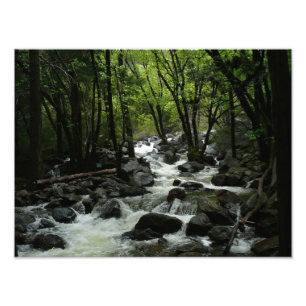 Impression Photo Bridalveil Creek dans le parc national de Yosemite