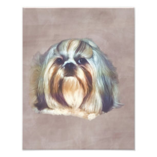 Impression Photo Brindle et Chih blanc Tzu Chig
