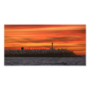 Impression Photo Brise-lames avec des Pélicans - Marina Del Rey, CA