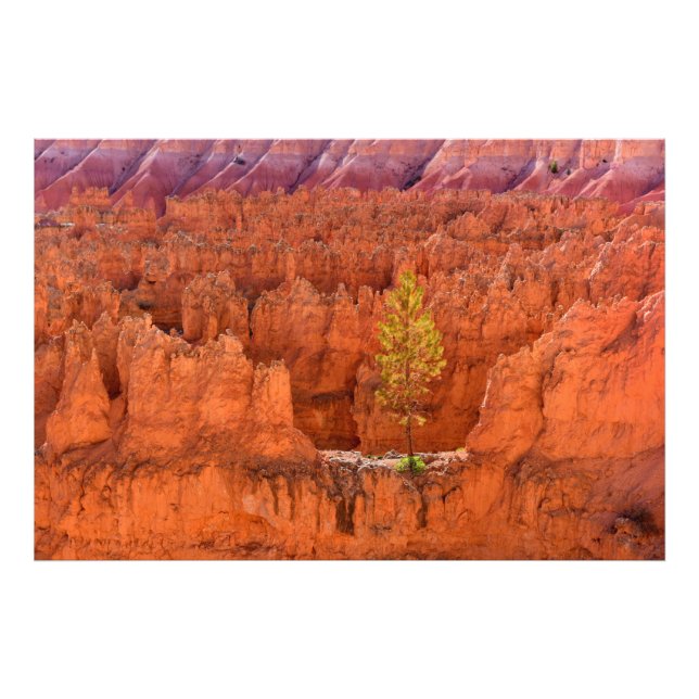 Impression Photo Bryce Canyon National Park, Utah USA (Devant)