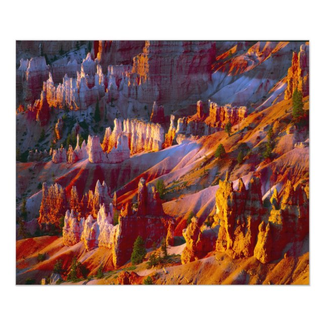 Impression Photo Bryce Canyon, Utah, USA 2 (Devant)