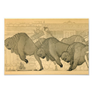 Impression Photo Buffalo Stampede, Savage Iowa, 1923 par Grant Wood