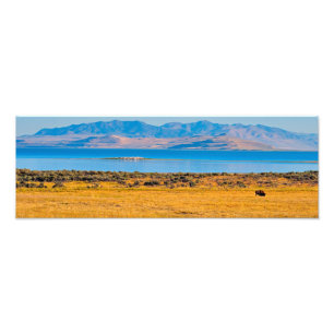 Impression Photo Buffle de pâturage, Grand lac de sel, Utah