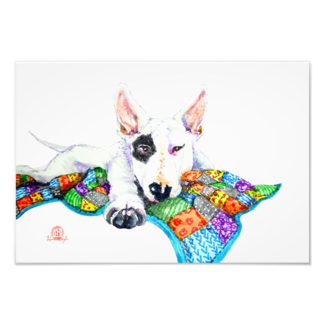 Impression Photo Bullterrier blanc sur Patchwork - Art (Devant)