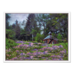 Impression Photo Cabine dans la Numériquement Lupine paraphé Open E