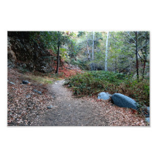 Impression Photo Camping Bear Canyon