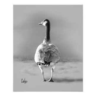 Impression Photo Canada Goose