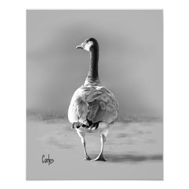 Impression Photo Canada Goose (Devant)