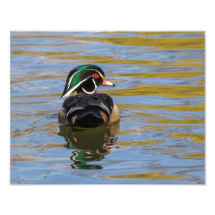 Impression Photo Canard en bois coloré