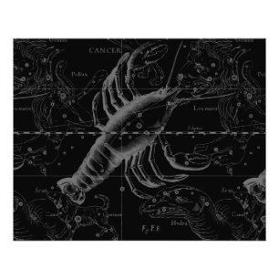 Impression Photo Cancer Constellation Hevelius 1690 Décor