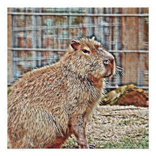 Impression Photo Capybara