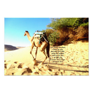 Impression Photo Car je connais les plans que j'ai ....  Jérémie 