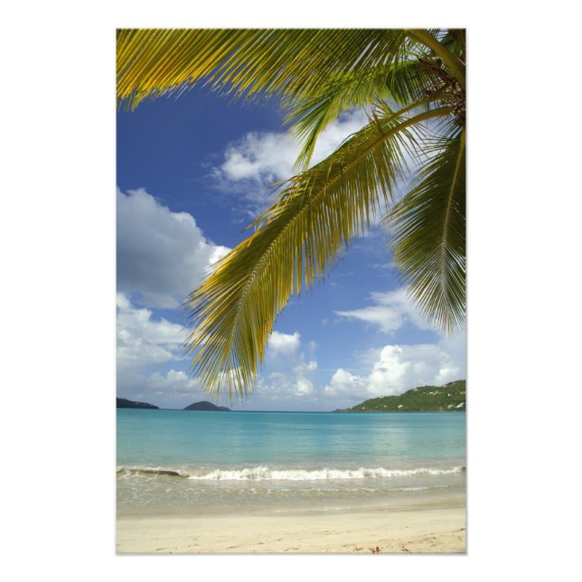 Impression Photo Caraïbes, îles Vierges américaines, St.Thomas, 4 (Devant)
