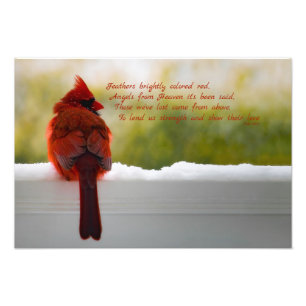 Impression Photo Cardinal avec Visiteur du Ciel poème 19x13