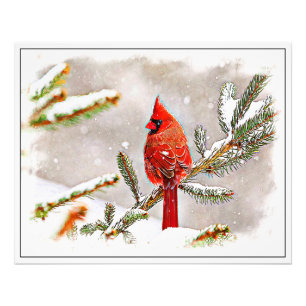 Impression Photo Cardinal dans un pin