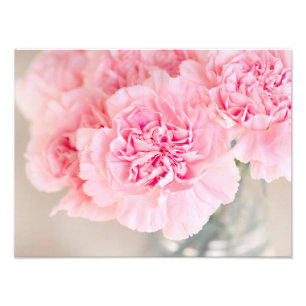 Impression Photo Carnations roses