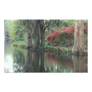 Impression Photo Caroline du Sud, Charleston