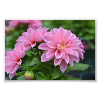 Impression Photo Carte postale pour elle