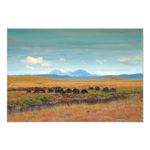 Impression Photo Cartes du Jura d'Islay, Ecosse