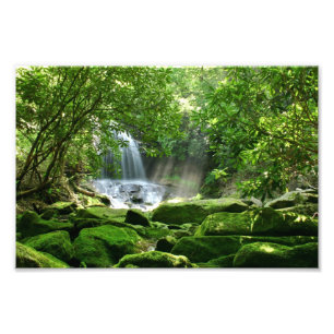 Impression Photo Cascade de la forêt pluviale