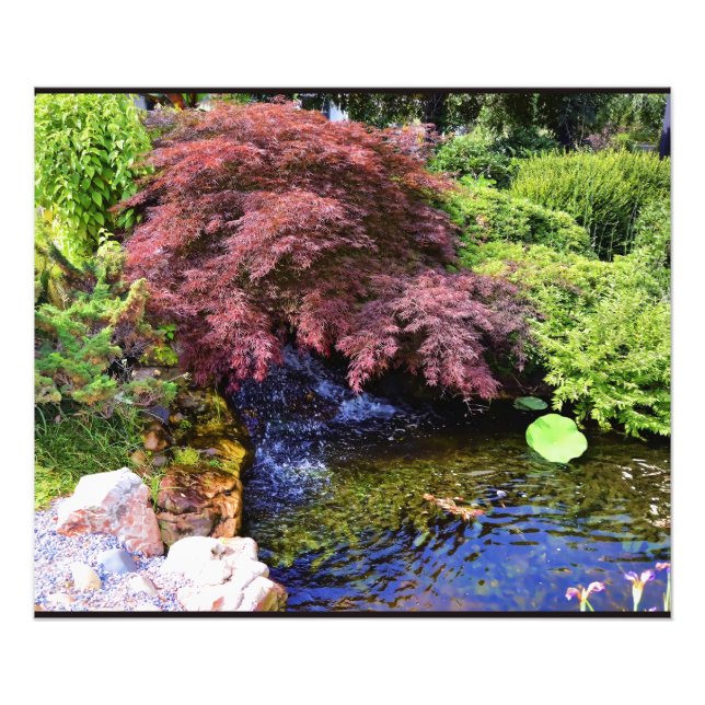 Impression Photo Cascade du jardin japonais (Devant)