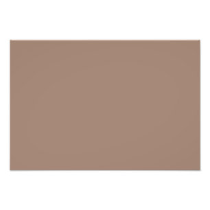 Impression Photo Castor (couleur solide)