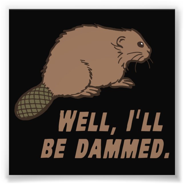 Impression Photo Castor endommagé (Devant)