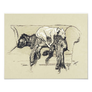 Impression Photo Cecil Aldin 1902 "Chiens lazy dormant sur canapé"
