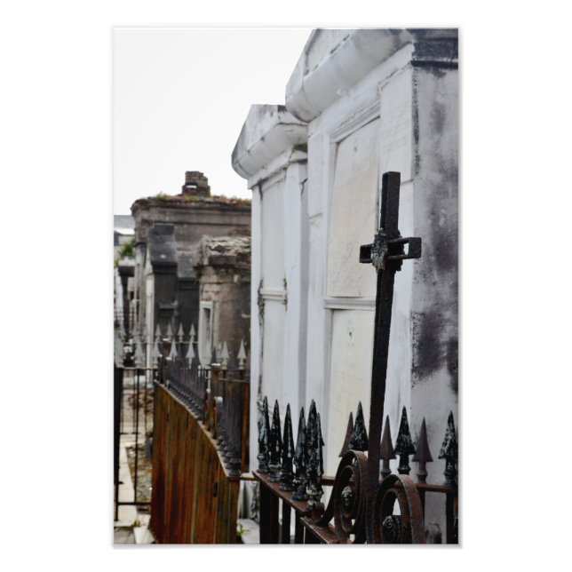 Impression Photo Célébrer la vie (Devant)