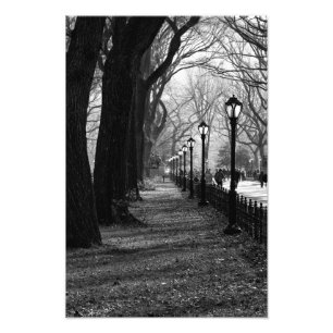 Impression Photo Central Park à New York
