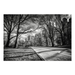 Impression Photo Central Park, New York