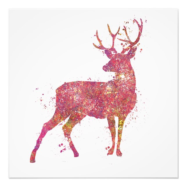 Impression Photo Cerf Animal Forêt Faune Sauvage Nature Monde Terre (Devant)