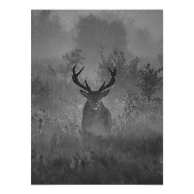 Impression Photo Cerf Dans La Brume (Devant)