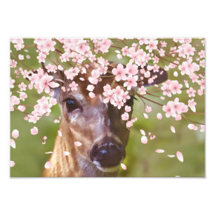 Impression Photo Cerfs communs sous le cerisier
