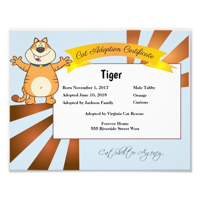 Impression Photo Certificat d'adoption de cat (Devant)