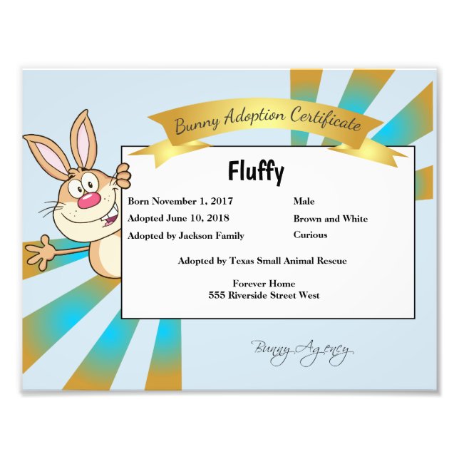 Impression Photo Certificat d'adoption de lapin (Devant)
