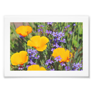 Impression Photo Champ de fleurs de printemps