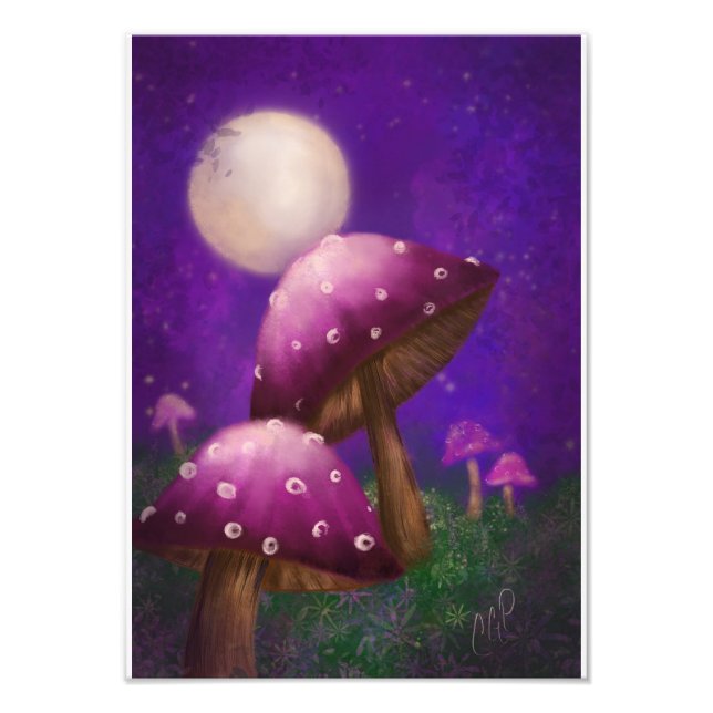 Impression Photo Champignons et clair de lune (Devant)