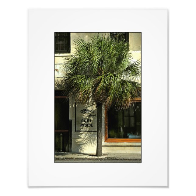 Impression Photo Charleston Street avec Palmetto Tree (Devant)