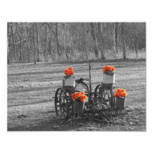 Impression Photo Charrue antique