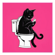 Chat assis sur une toilette