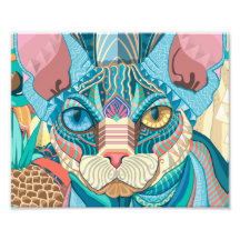 Chat cosmique Sphynx