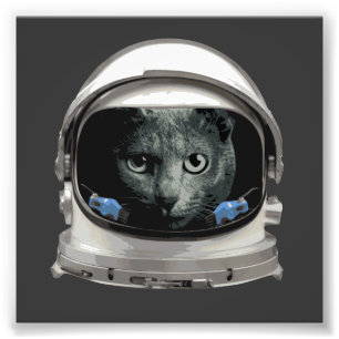 Impression Photo Chat d'astronaute de casque d'espace