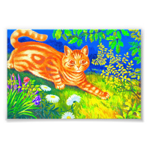 Impression Photo Chat de nuit