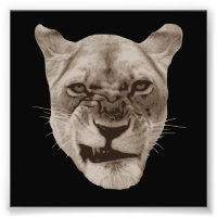 Chat Lion Fâché